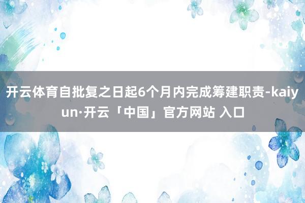 开云体育自批复之日起6个月内完成筹建职责-kaiyun·开云「中国」官方网站 入口